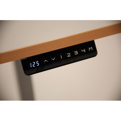 Električno nastavljiva delovna miza